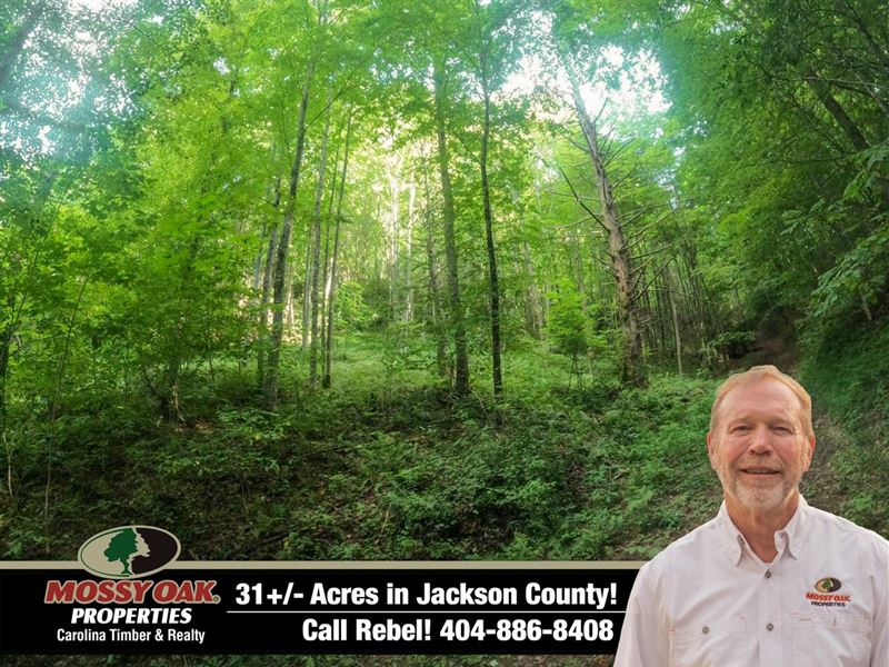 Neddie Mountain Road : Tuckasegee : Jackson County : North Carolina