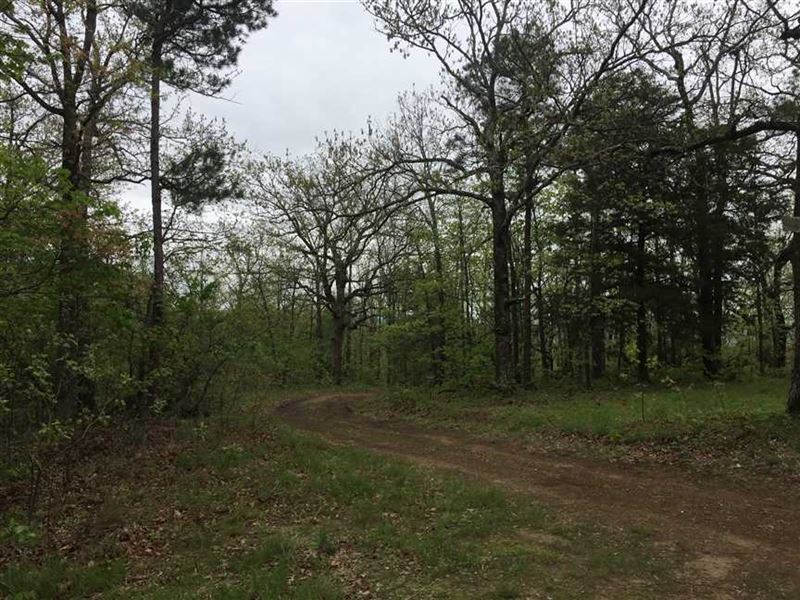 400 Acres of Prime Recreational an : Havana : Logan County : Arkansas