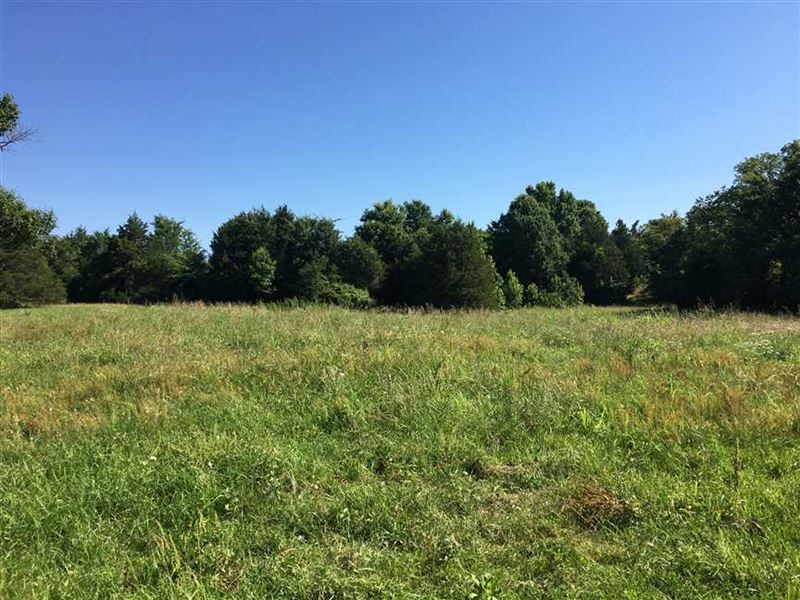 Pasture/Horse/Cattle, Mixed Use Re : Atkins : Pope County : Arkansas