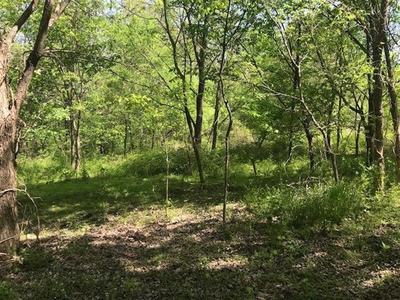 7.23 Acres Trousdale County, Tennes : Bethpage : Trousdale County : Tennessee