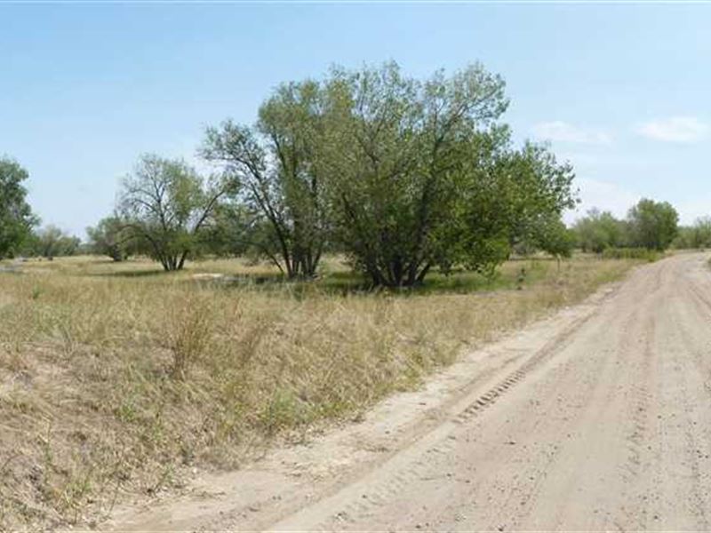 Hunter's Paradise on Bijou Creek : Wiggins : Morgan County : Colorado