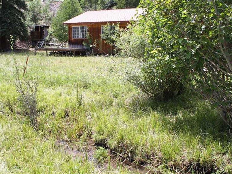 Middle Creek Elk Camp : Saguache : Saguache County : Colorado