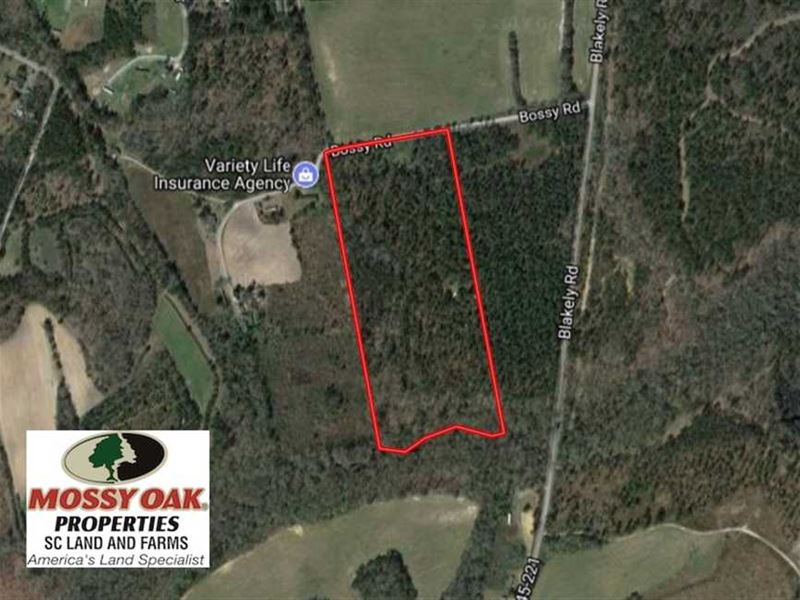 Reduced, 24.49 Acres of Hunting : Salters : Williamsburg County : South Carolina