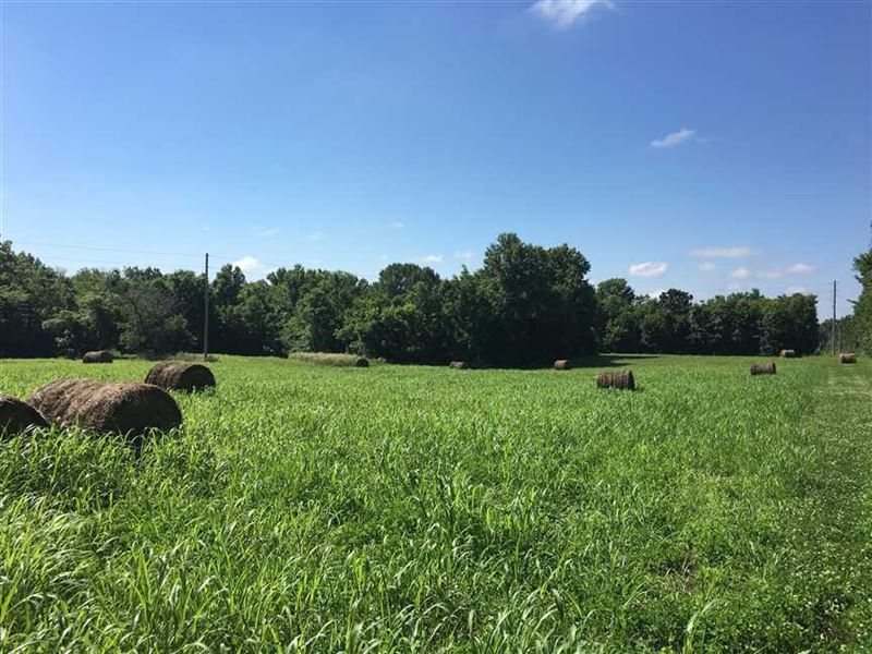 Beautiful Hunting/Building Acr : Butler : Bates County : Missouri