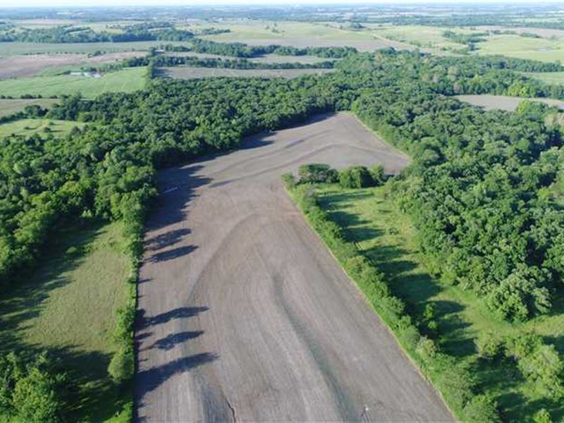 Prime Hunting Property in Ne : Powhattan : Brown County : Kansas