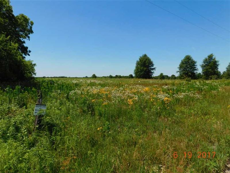 Hunting Farm Crp Income Livingston : Ludlow : Livingston County : Missouri