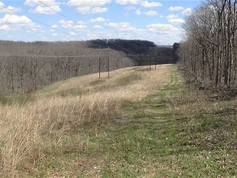 160 Acres Great Hunting Tract Old : Stover : Morgan County : Missouri
