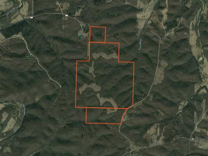 Reduced, 677 Acres Macks Creek Mo, Farm for Sale in Missouri, 133841
