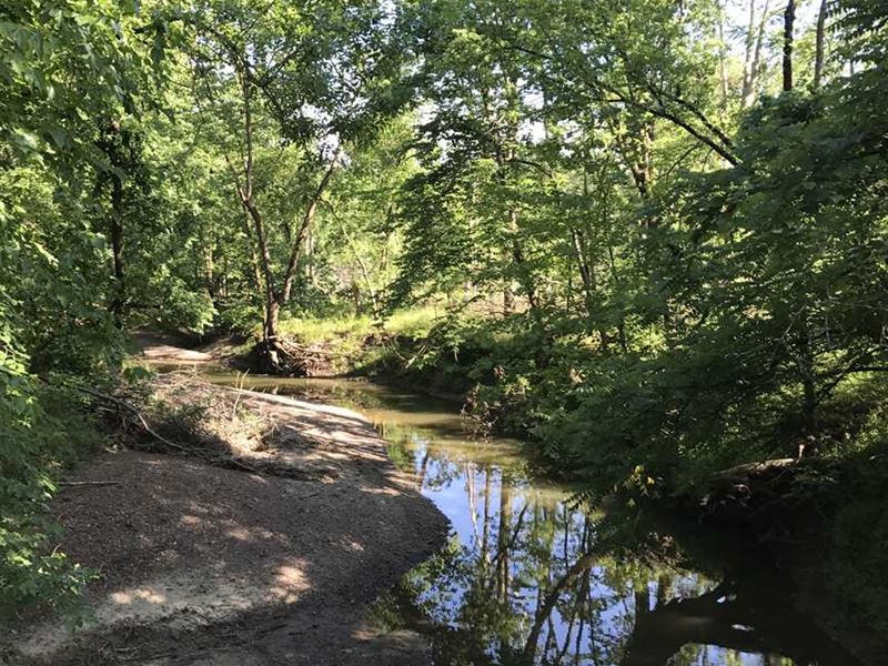 45.2 Acres Great Hunting in Henry : Calhoun : Henry County : Missouri