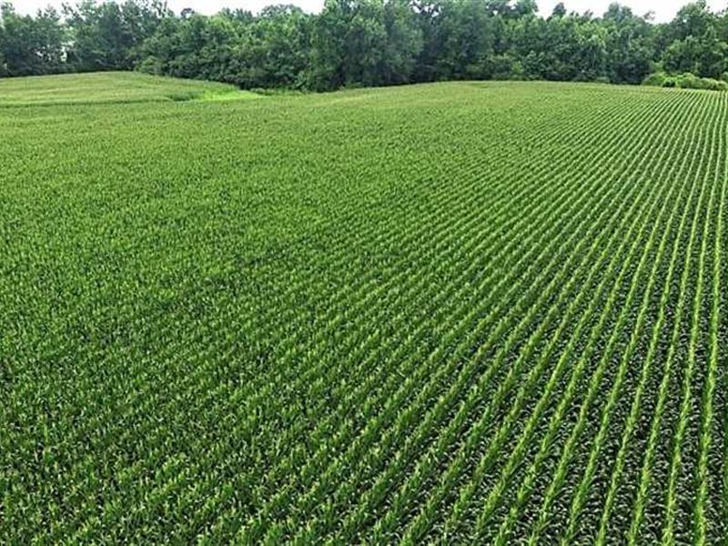 17.1 Acres of Fa, Farm for Sale in North Carolina, 133888 FARMFLIP