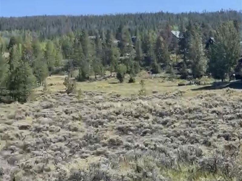 Silvercreek Land : Granby : Grand County : Colorado