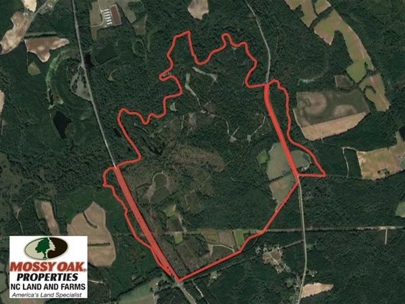 Under Contract, 587 Acre Buffalo : Clinton : Sampson County : North Carolina