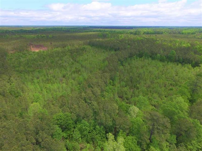 Under Contract, 45 Acres of Hunti : Harrellsville : Hertford County : North Carolina