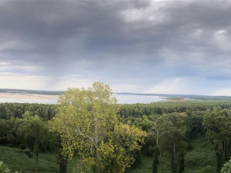 Chickasaw Bluff : Drummonds : Tipton County : Tennessee