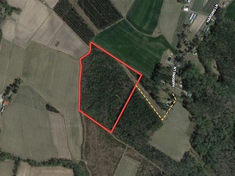 25 Acres of Hunti : Chocowinity : Beaufort County : North Carolina