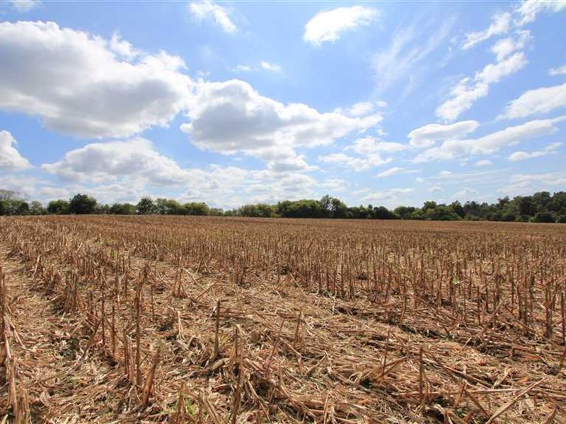 20+ Acres in Rowan County : Mount Ulla : Rowan County : North Carolina