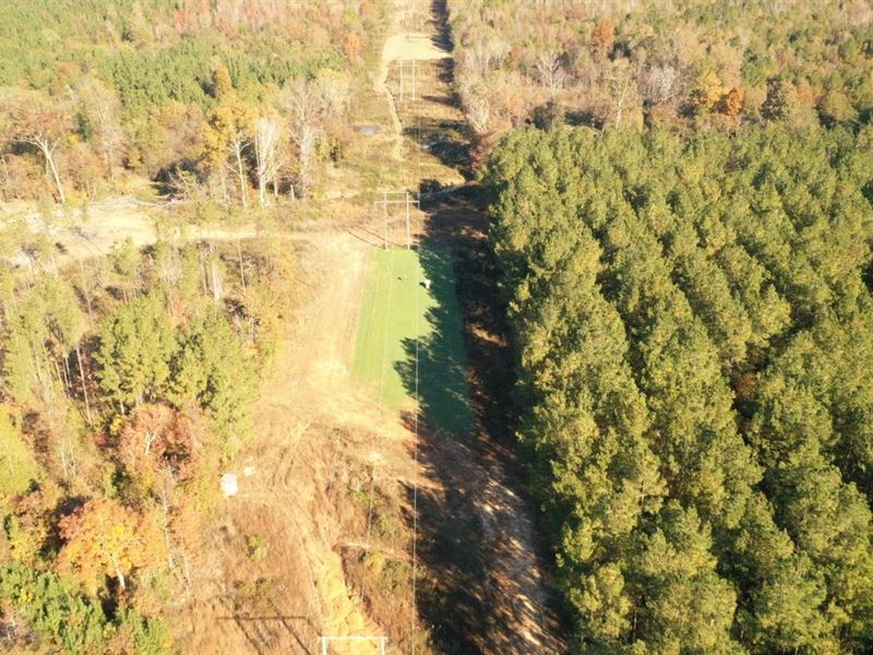 Winston County, MS 86 Acres : Noxapater : Winston County : Mississippi