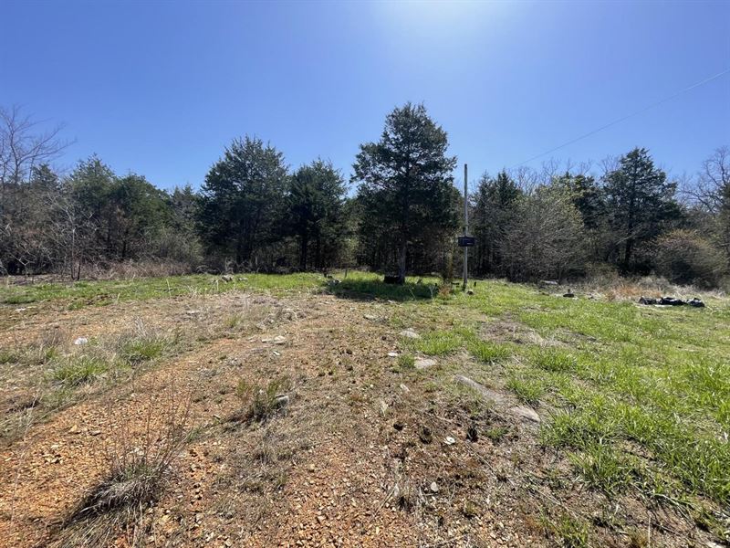 38 Acres, Hunting Land, Wiseman : Wiseman : Izard County : Arkansas