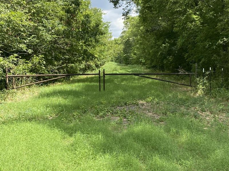 554 Acres in Jones, Louisiana : Jones : Morehouse Parish : Louisiana