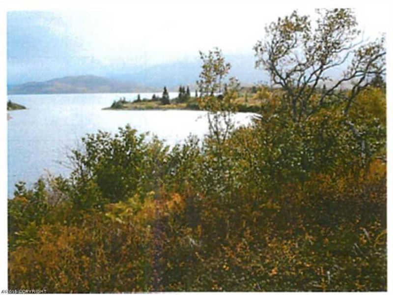 Lake Frontage on Lake Iliamna : Iliamna : Lake And Peninsula Borough : Alaska
