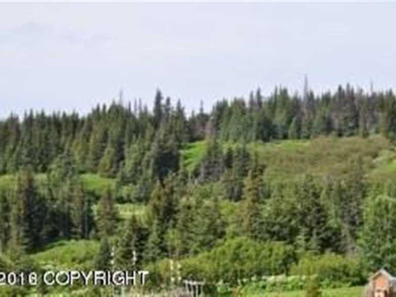Heaven On Earth 9 Acres in Anchor : Anchor Point : Kenai Peninsula Borough : Alaska