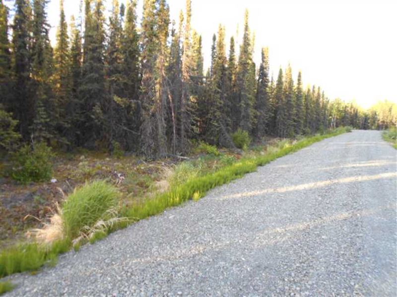 Near Soldotna, Alaska, a 19 Acre : Soldotna : Kenai Peninsula Borough : Alaska