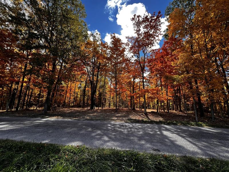 12 Acres, Delaware Co, 1275 : Muncie : Delaware County : Indiana