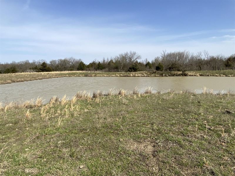 Large Piece Of Mixed Grass with Pon : Cherryvale : Labette County : Kansas