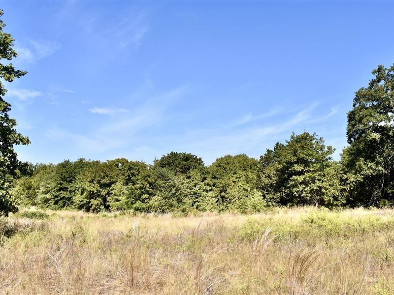 County Road 187 : Gainesville : Cooke County : Texas