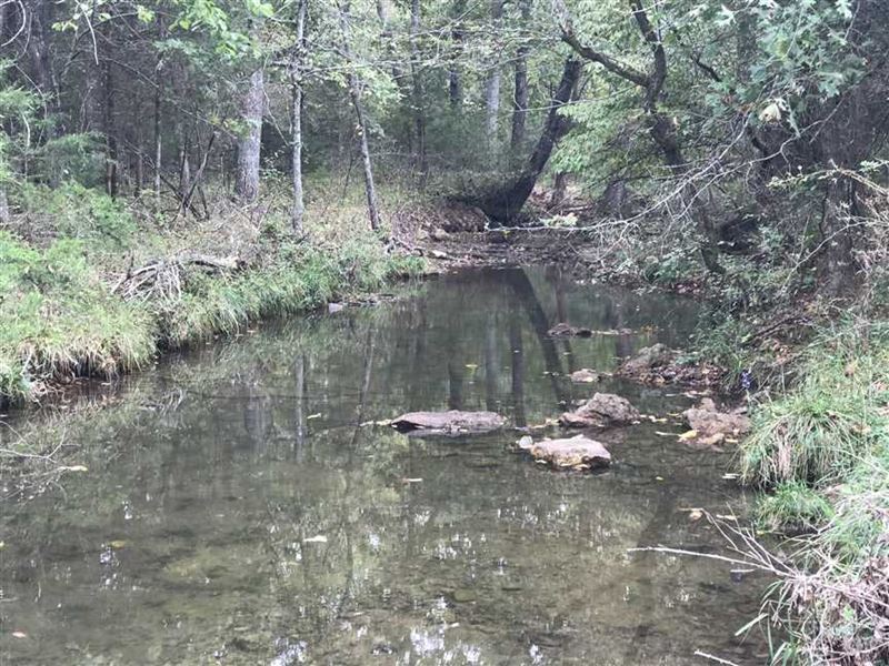 119 Acres in Mt Grove Missouri : Mountain Grove : Wright County : Missouri