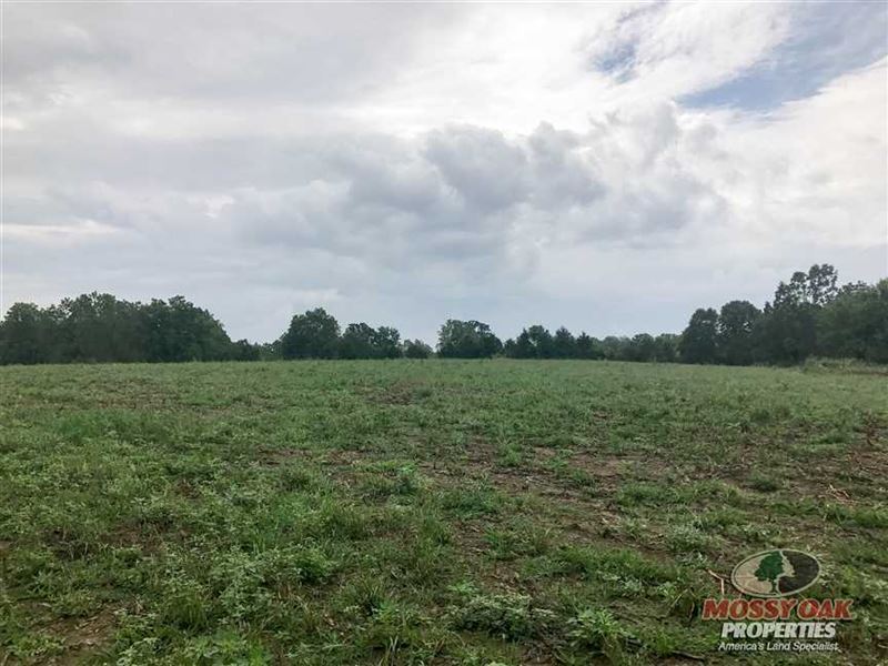 64 Acre Tract in Wright County, MO : Grovespring : Wright County : Missouri