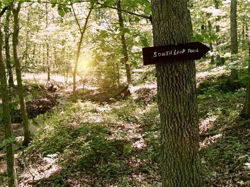 190 Acre Tract of Mature, Marketab : Lebanon : Laclede County : Missouri