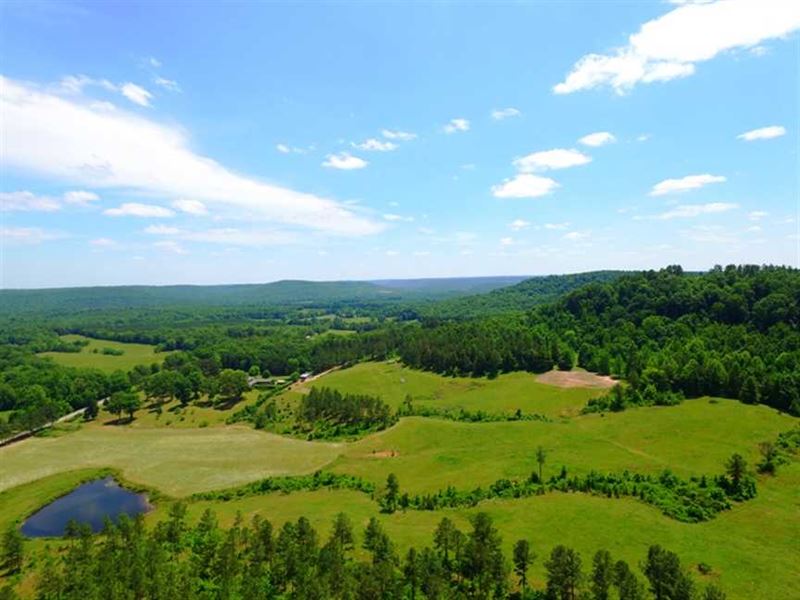 Timber and Pastureland with Large : Tuscumbia : Colbert County : Alabama