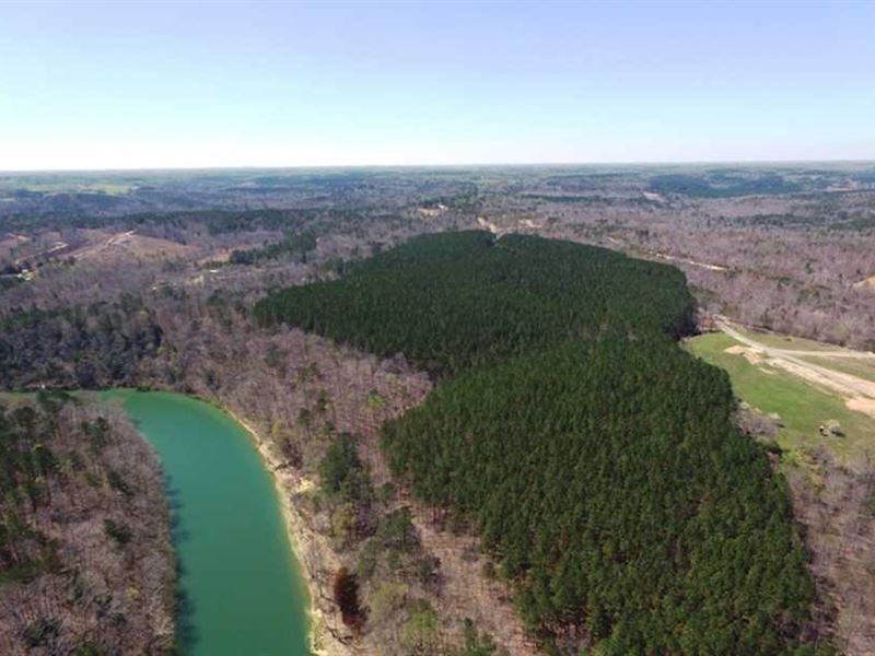 74 Secluded Tract Near Double : Double Springs : Winston County : Alabama