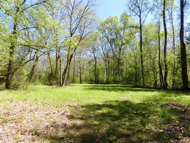 Cypress Creek Timber & Wildlife En : Florence : Lauderdale County : Alabama