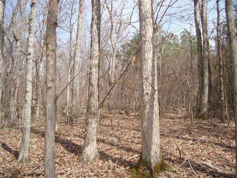 Lost Creek Farm Colbert and Frank : Tuscumbia : Colbert County : Alabama