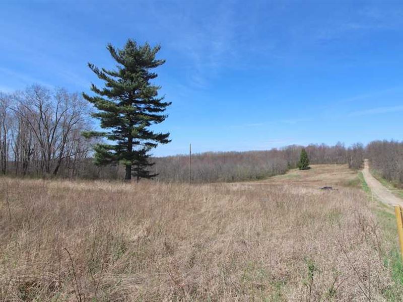 TR 29 75 Acres Coshocton County, Farm for Sale in Ohio, 134535 FARMFLIP