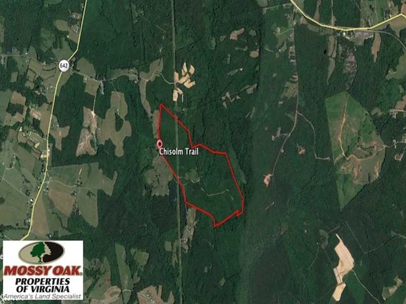 142 Acres of Hunting Land for Sale : Nathalie : Halifax County : Virginia