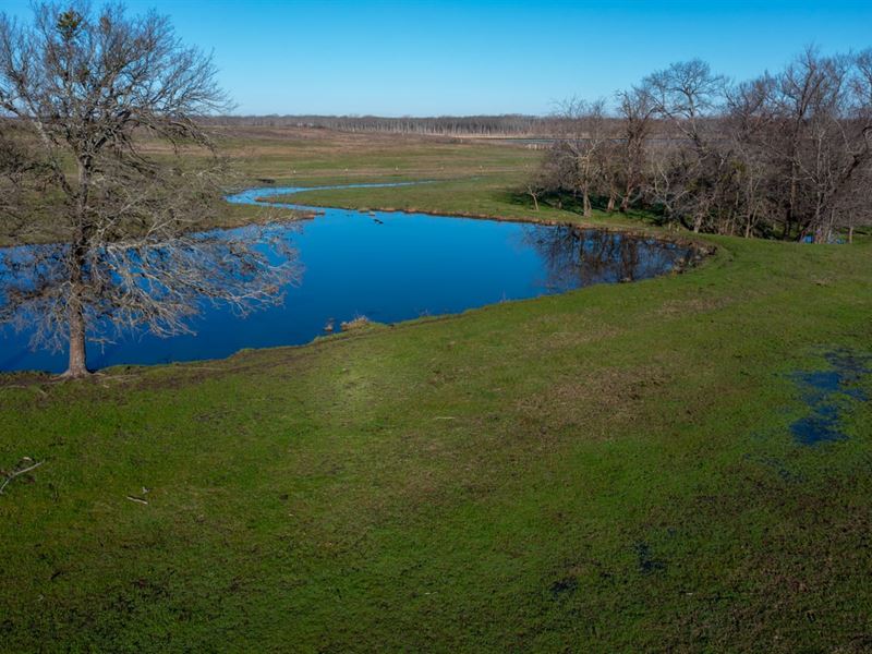 Hopkins County 64 Acres : Cumby : Hopkins County : Texas