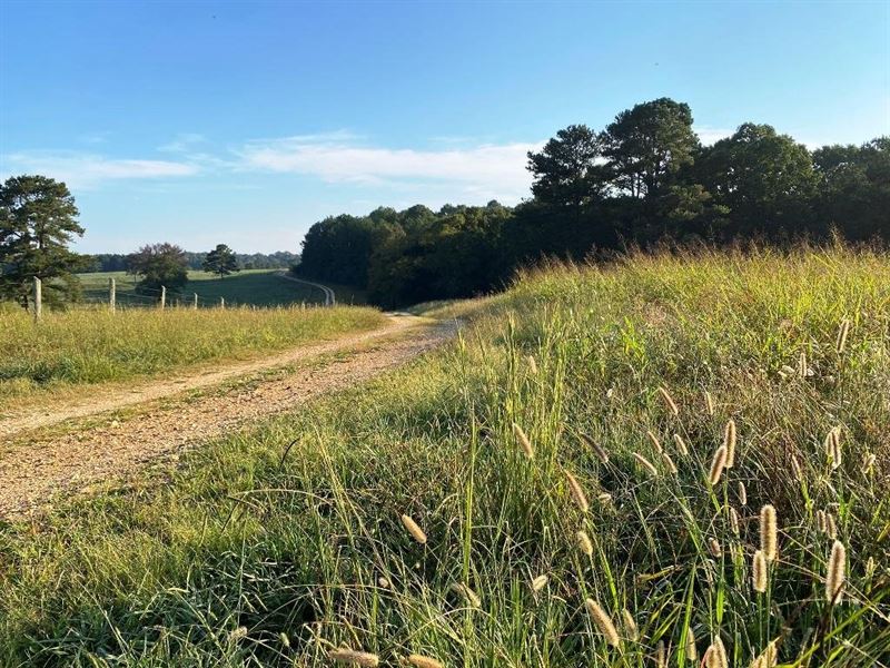 Cook Creek Road Farm : Russellville : Colbert County : Alabama