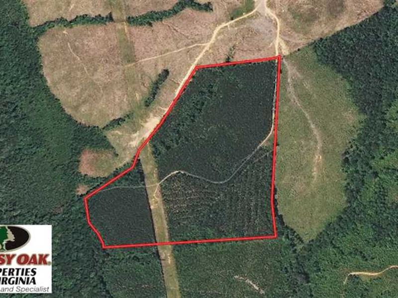 50 Acres of Timber and Recreationa : Halifax : Halifax County : Virginia