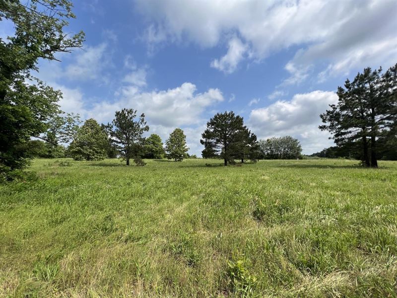 135 Acres on Cadron Creek : Bee Branch : Van Buren County : Arkansas