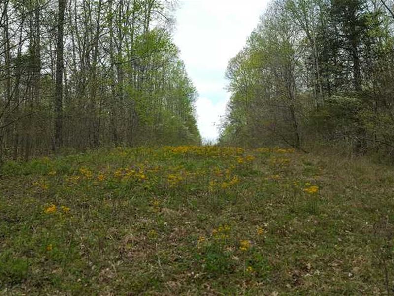 2000 South Owensburg Road, Greene : Springville : Greene County : Indiana