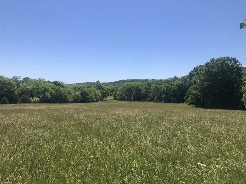 Laclede 30 : Stoutland : Laclede County : Missouri