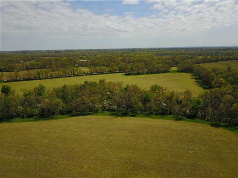 Land for Sale, Greene County, Farm for Sale in Indiana, 135074 FARMFLIP