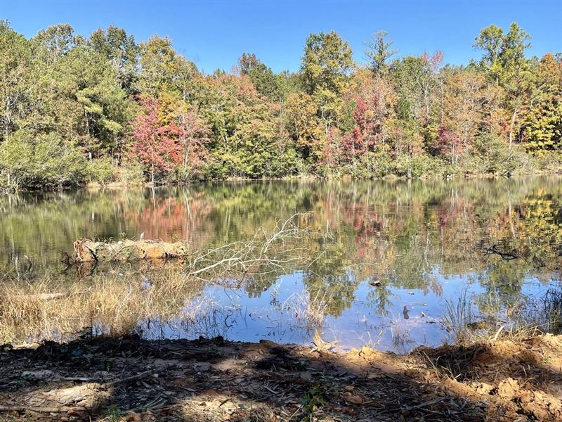 Acreage, Pond, Great Hunting, Farm for Sale in 135124 FARMFLIP