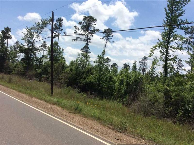 Joyce Tract, Winn Parish, 9 Acres : Winnfield : Winn Parish : Louisiana