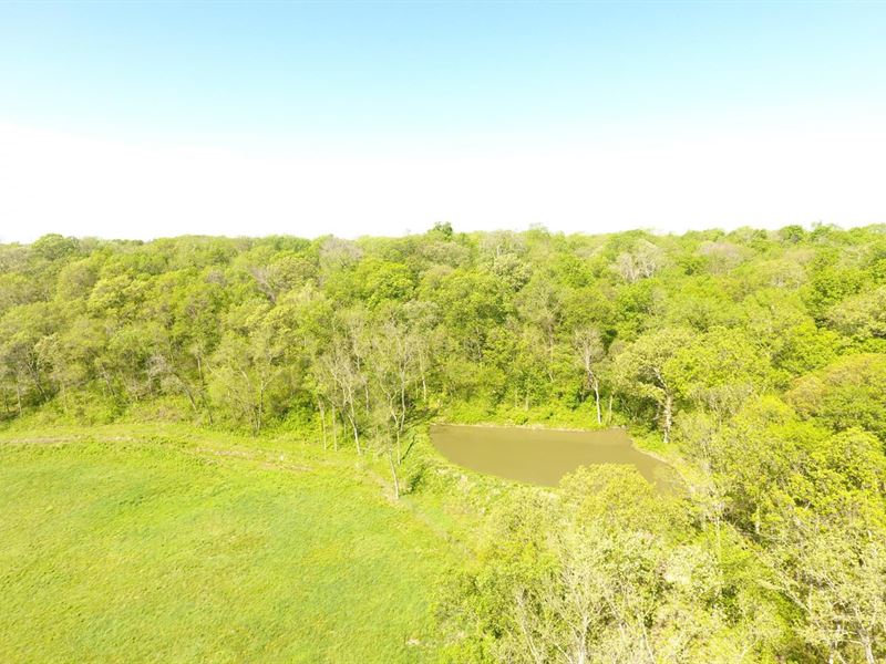 Hunting, 107 Acres Ray County : Richmond : Ray County : Missouri