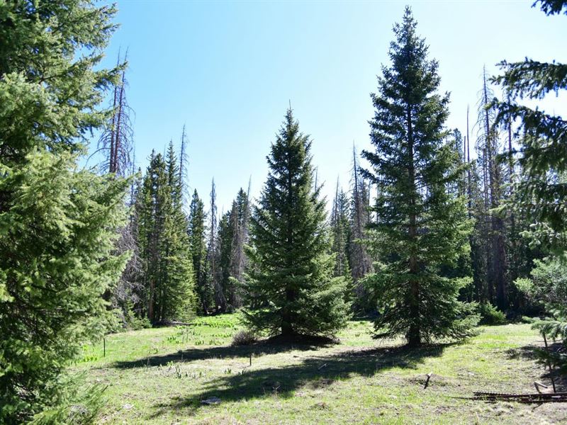 The Ten Five Ranch : Chama : Rio Arriba County : New Mexico