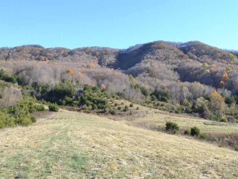 283 Acres In Pounding Mill, Va Farm for Sale in Pounding Mill